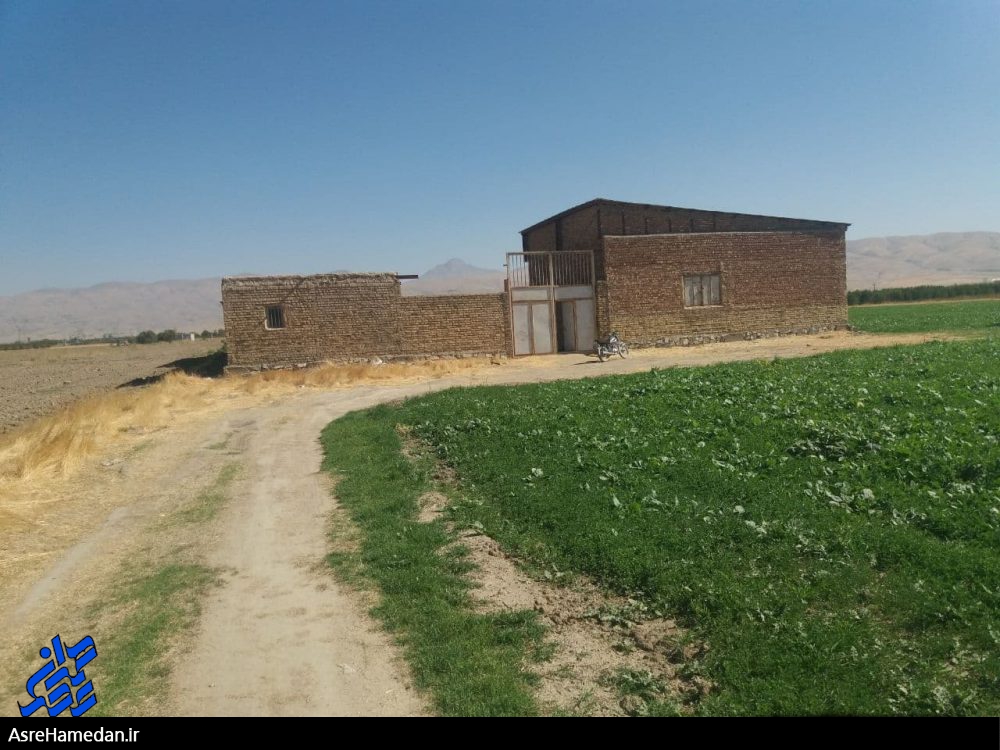 کارآفرین: دامداریم راکد است و یک دام برای پرورش هم به خود ندید!/بانک کشاورزی برای دادن وام از سال ۹۵ مقاومت کرده