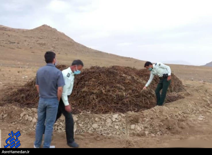 کشف ۶ تن شیرین بیان قاچاق در کبودراهنگ