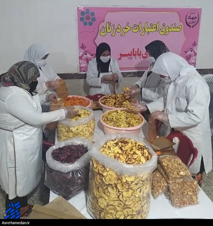 تعبیر بنیادین اقتصاد مقاومتی توسط بانوان بسیجی یک روستا/ صدای زندگی در کارگاه شهناز خانم جریان دارد