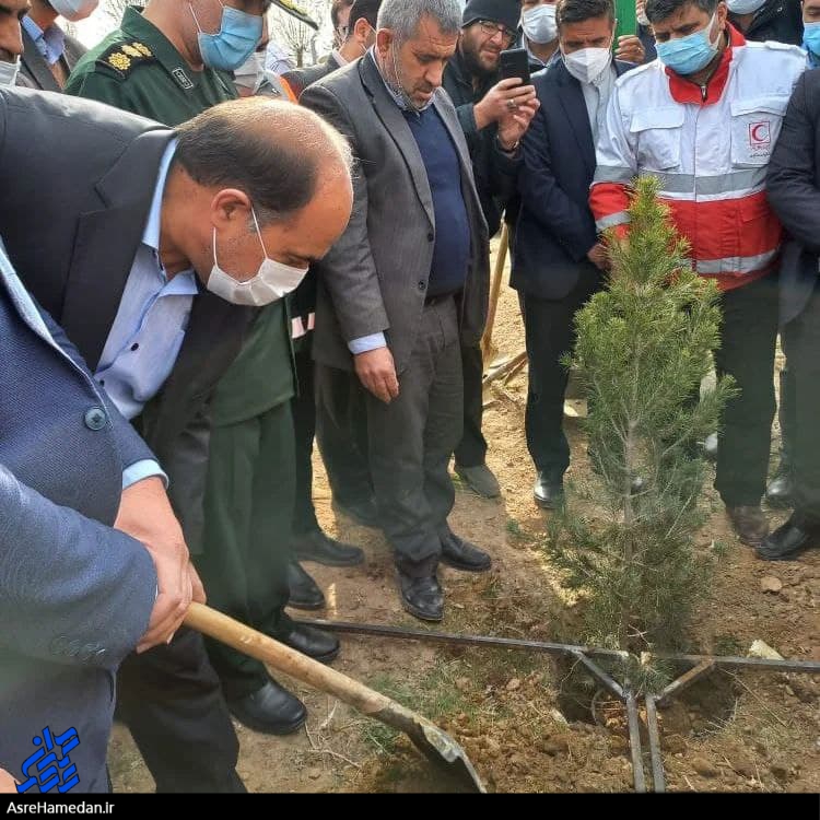 کاشت ۶۴۱ نهال به تعداد شهدای کبودراهنگ