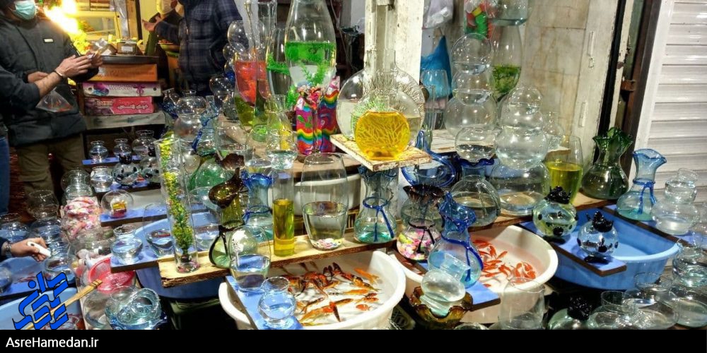 نوروزخوانی با چاشنی شگون شیرین بهار/ تکاپوی نوروزی مردم در دیار استرآباد