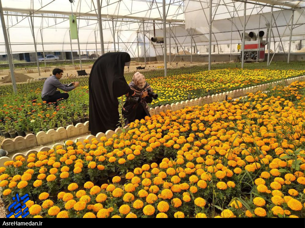 اولین روز از جشنواره عکاسی آلما در شهرستان بهار
