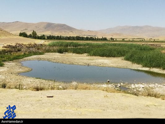 وضعیت تنها تالاب زنده استان همدان در اسدآباد