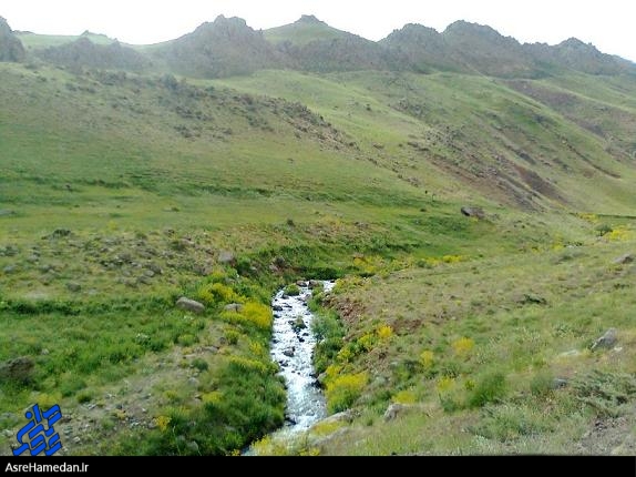مناطق شکار ممنوع تجرک و کرفس، قطب اشتغال زایی محیط زیستی استان می شود