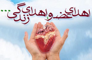 امسال در همدان ۱۷ مورد رضایت اهدای عضو داشتیم/ کاهش بیماران مرگ مغزی