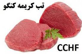 سم پاشی ۸۰ درصد از روستاهای همدان علیه تب کریمه کنگو