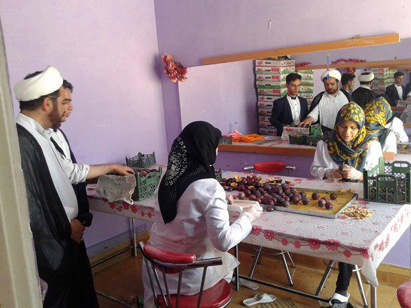 دولت حمایت می‌کرد کارگاه تعطیل نمی‌شد/کارگاه بسته‌بندی حبوبات با اشتغالزایی ۵ نفر افتتاح می‌شود