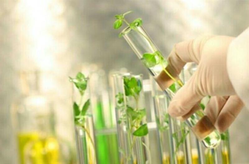ارزیابی زیست محیطی برای ۹ طرح بزرگ همدان اجرا می شود