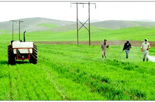 محصولات کشاورزی همدان ۷۷۲میلیارد تومان خسارت دیدند